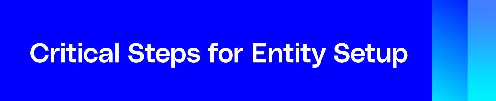 Banner that says critical steps for Entity setup